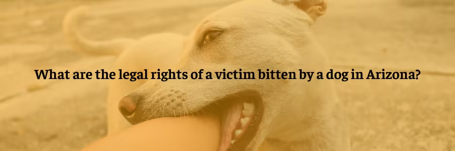 What are the legal rights of a victim bitten by a dog in Scottsdale?